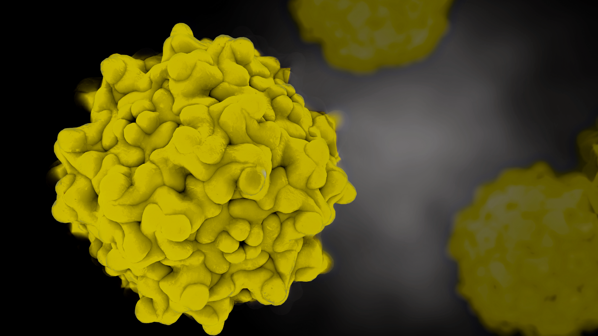 bigslideshow_2000x1125-01-1