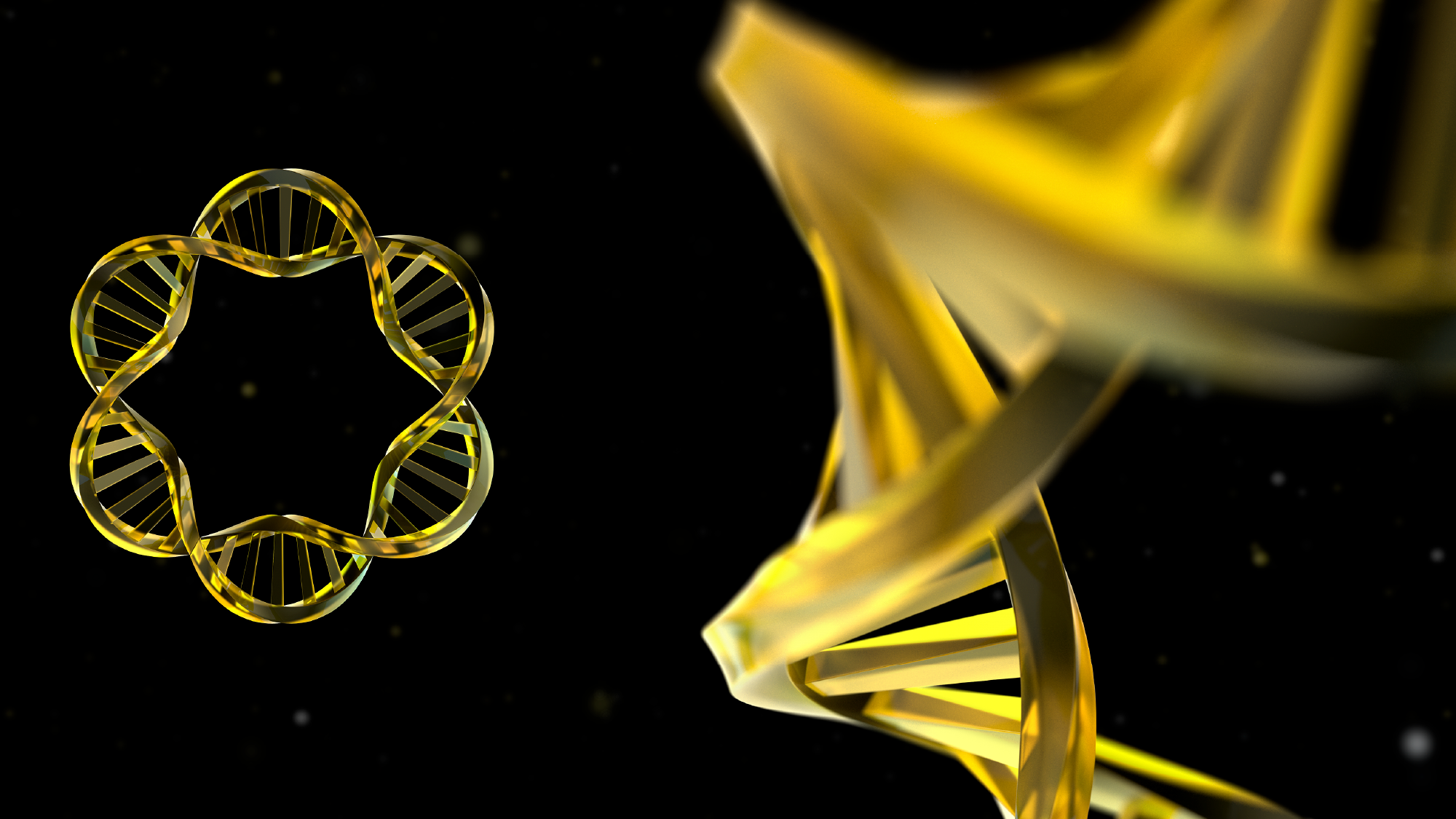 bigslideshow_2000x1125-05