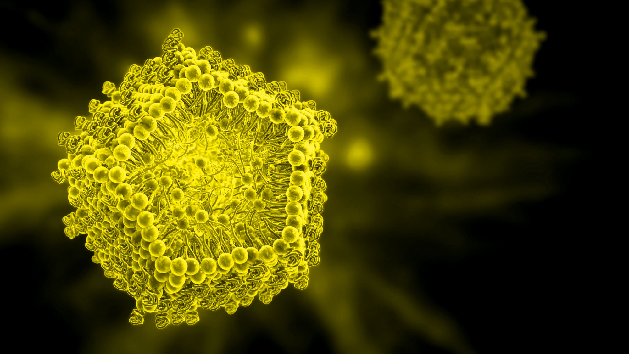 bigslideshow_2000x1125-06