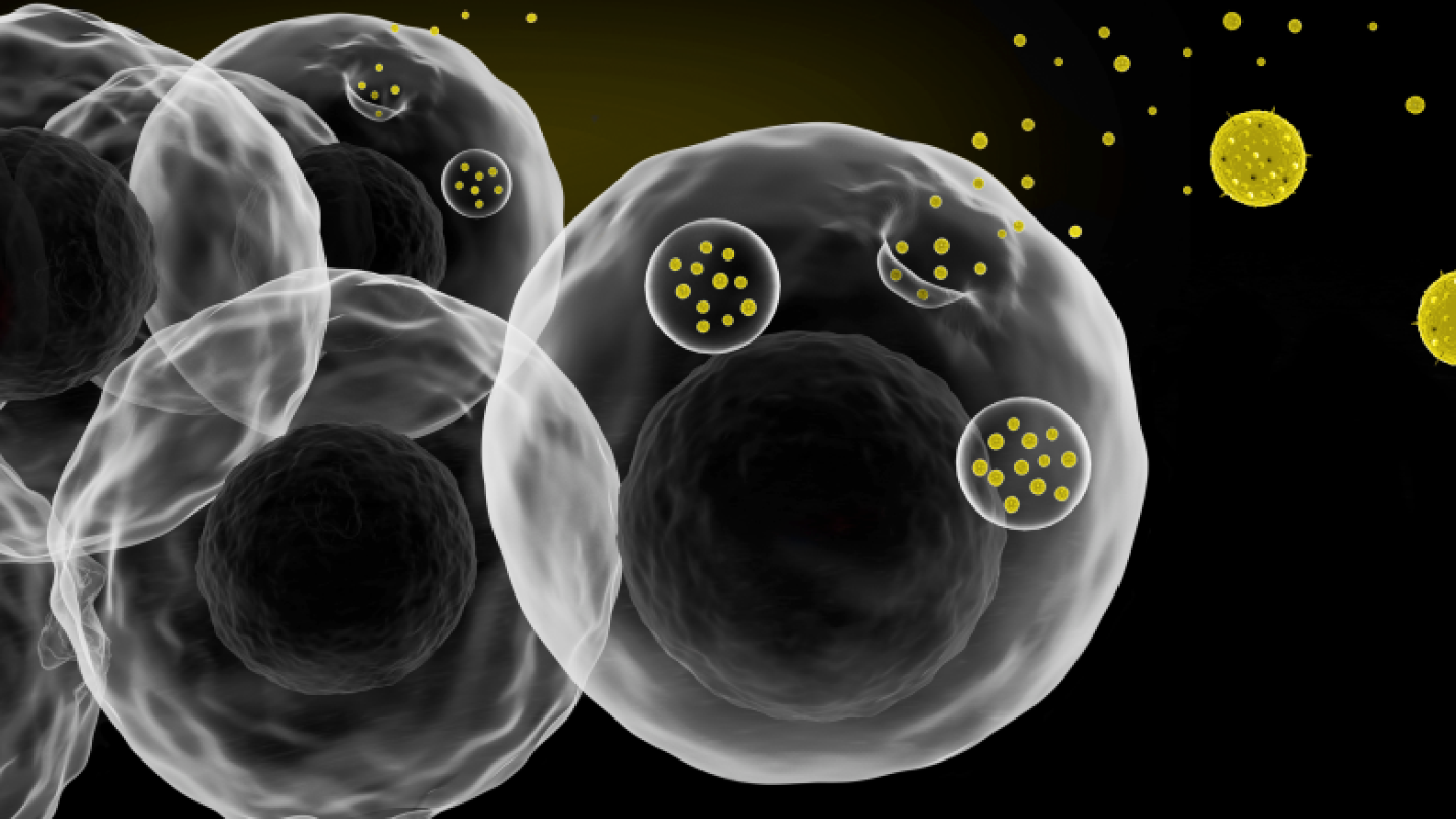 bigslideshow_2000x1125-13-1