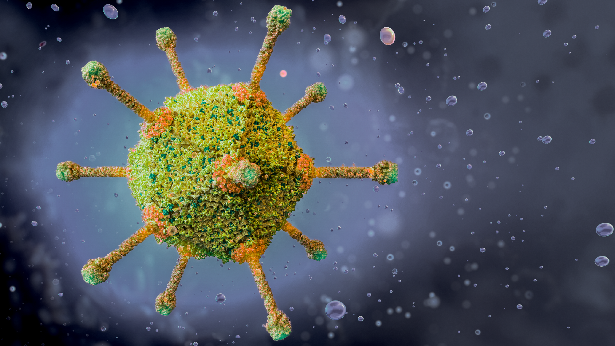 bigslideshow_2000x1125_ad-12