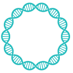 plasmid DNA illustration
