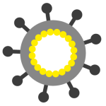 Large virus illustration